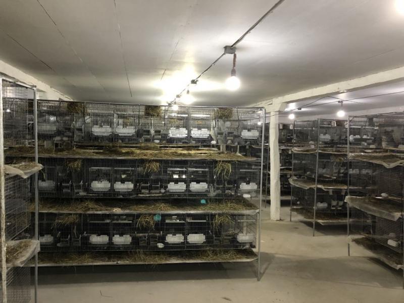 Ce au făcut doi soți cu banii de la nuntă. „Toți au crezut că suntem nebuni”