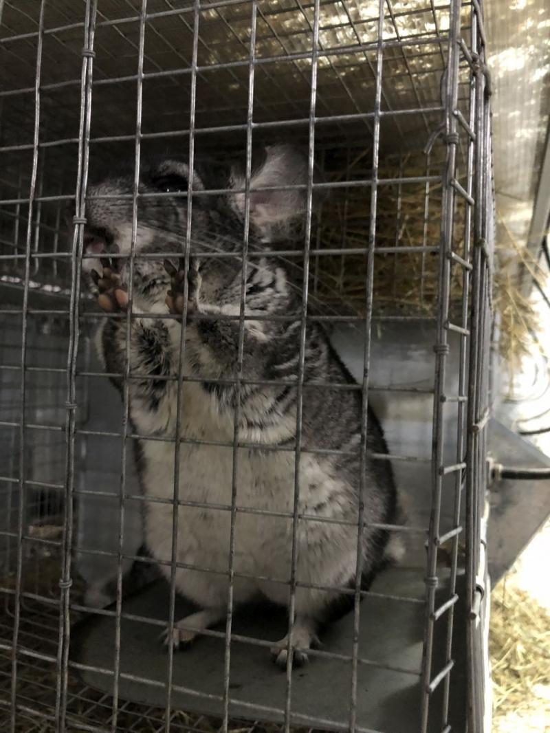 Ce au făcut doi soți cu banii de la nuntă. „Toți au crezut că suntem nebuni”