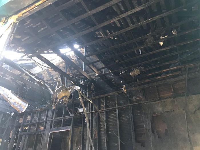 Imagini emoționante! Ai curaj să nu plângi? Un cățel s-a sacrificat pentru a-și salva familia de la moarte