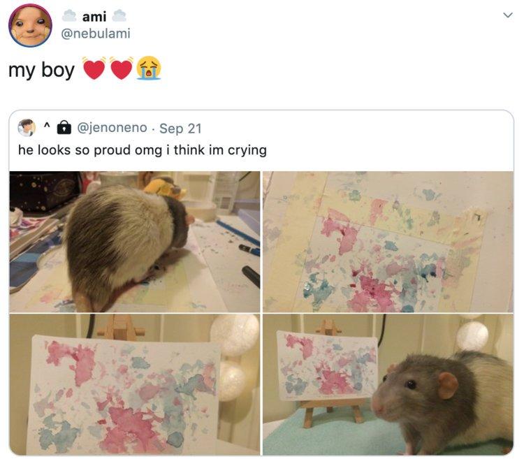 O studentă la Arte a antrenat un șobolan să picteze cu propriile picioare! Fotografiile cu micul artist au devenit virale - FOTO