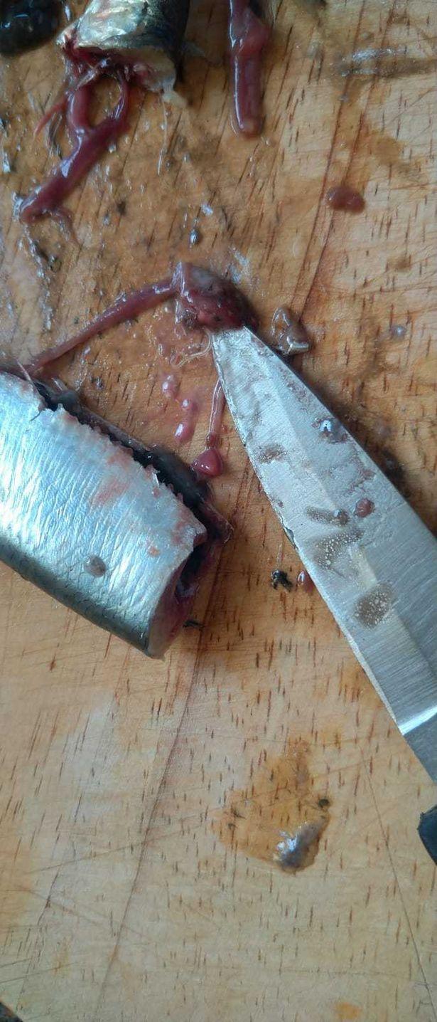Un bărbat și soția lui au fost oripilați după ce au găsit viermi în peștele proaspăt cumpărat de la supermarket: "A fost dezgustător"