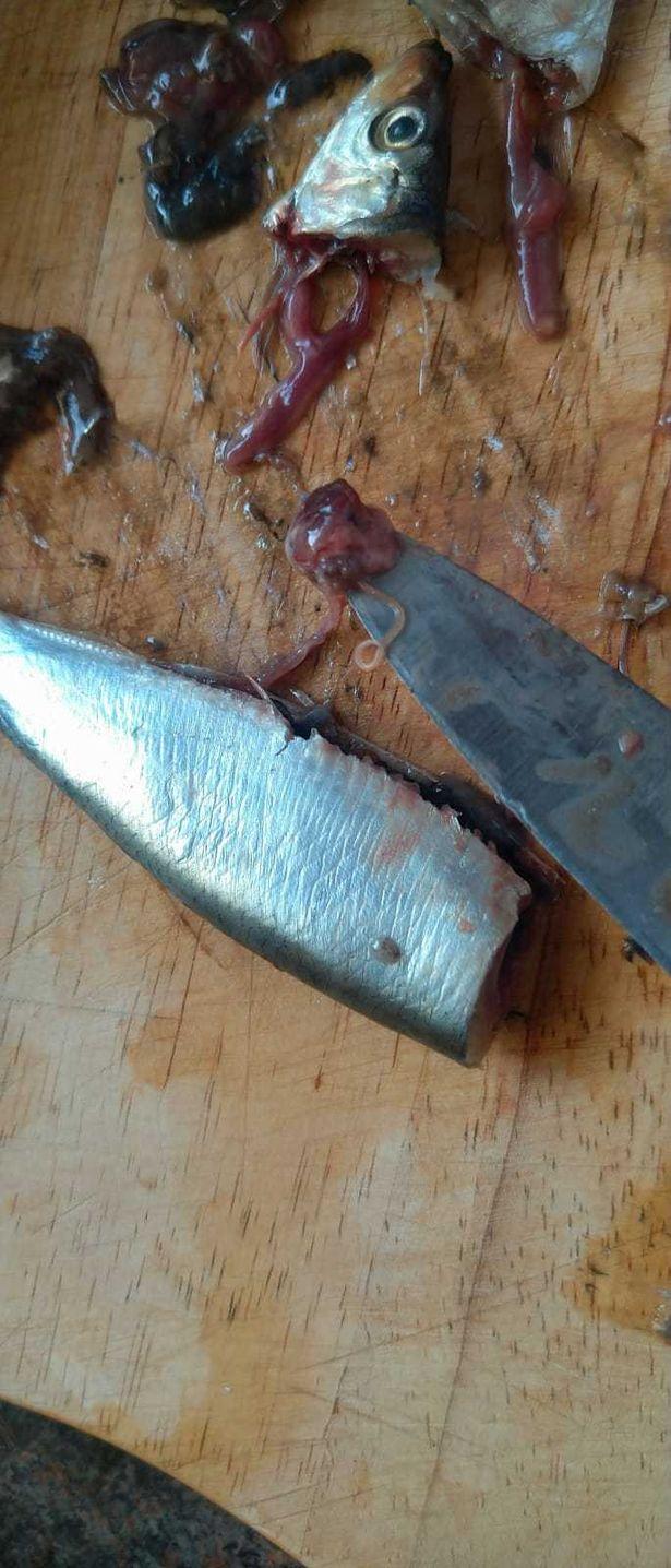 Un bărbat și soția lui au fost oripilați după ce au găsit viermi în peștele proaspăt cumpărat de la supermarket: "A fost dezgustător"