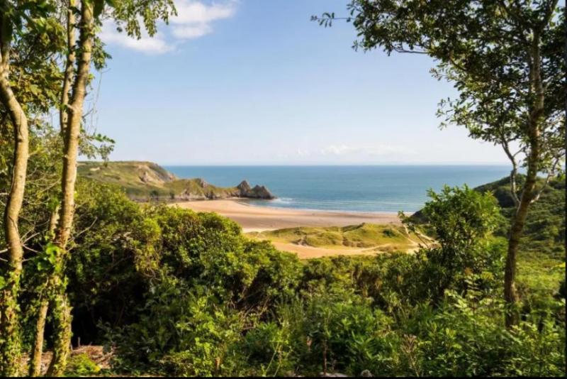 Bancă din lemn scoasă la licitație cu 500.000 de lire. Ce o face atât de specială