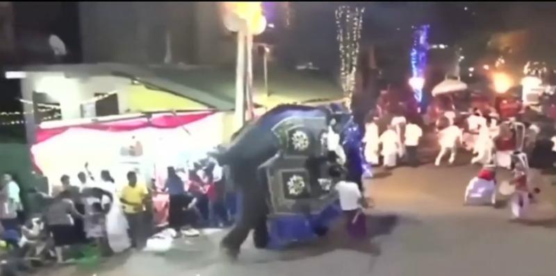 Imagini terifiante surprinse la un carnaval. 17 oameni au fost răniți de elefanții care au participat la paradă - VIDEO