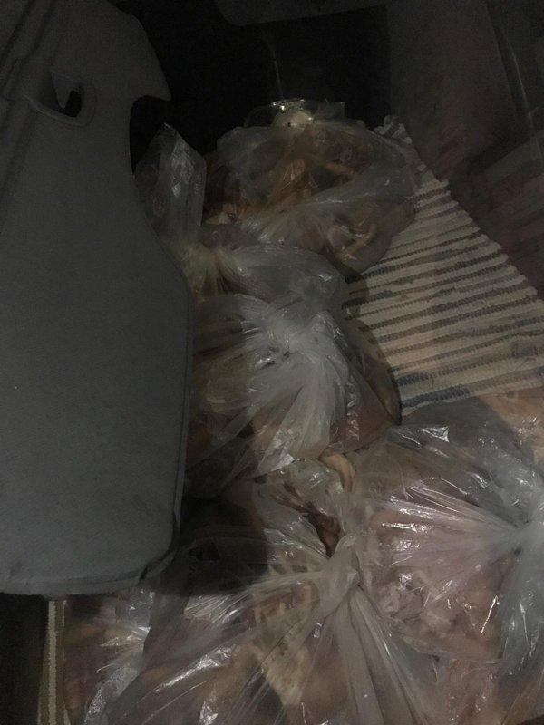 O nouă descoperire în cazul morții Cristinei Țopescu! Ce au găsit anchetatorii în mașina ei – FOTO