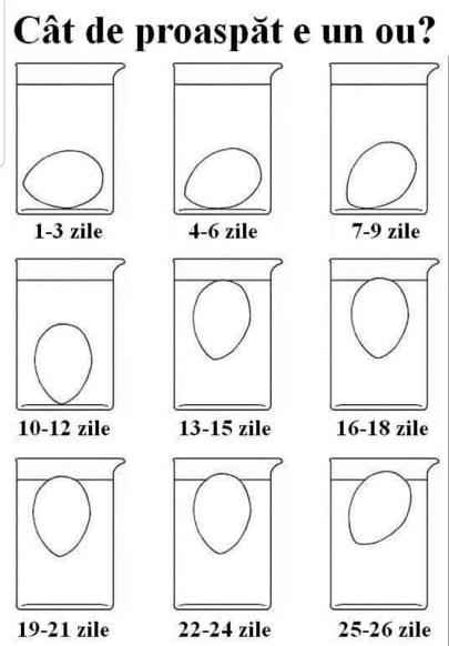 Cum verifici cât de proaspăt este un ou. Trucul pe care trebuie să-l știe orice gospodină!