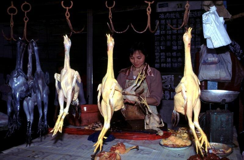 FOTO | Ai curaj să privești? Așa arată piețele ilegale de unde s-ar fi răspândit coronavirusul: animale sacrificate târâte prin mizerie și gătite, castroane și pui agățați în cârlige ruginite