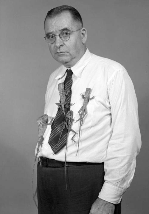 Jurnalul unei morți fulgerătoare. Un bărbat a documentat, în detaliu, ce a simțit în ultimele 24 de ore ale vieții sale