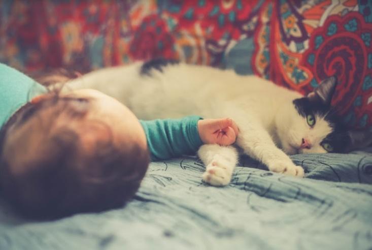 Ce schimbări aveți de făcut atunci când în viața voastră va apărea un bebeluș