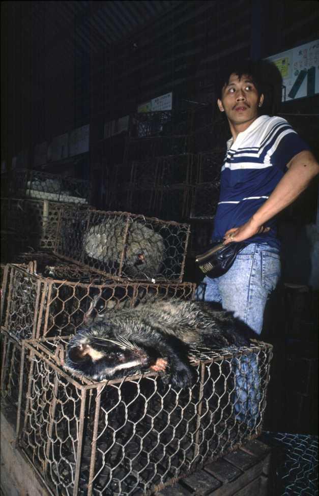 Imaginile groazei - În piaţa chineză din Wuhan se vindeau câini, pisici, șerpi și alte specii ciudate în condiții insalubre