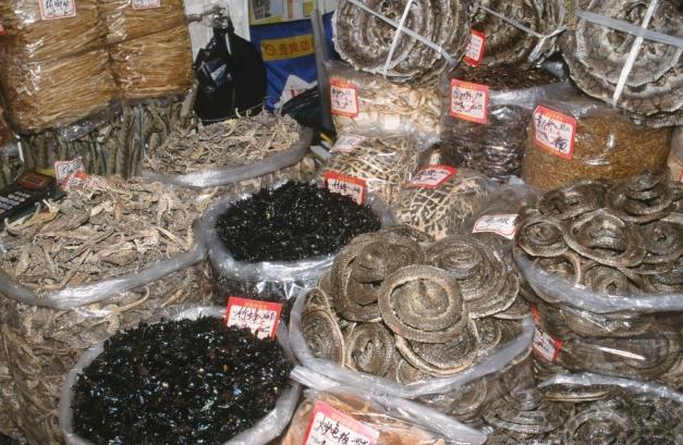 Imaginile groazei - În piaţa chineză din Wuhan se vindeau câini, pisici, șerpi și alte specii ciudate în condiții insalubre