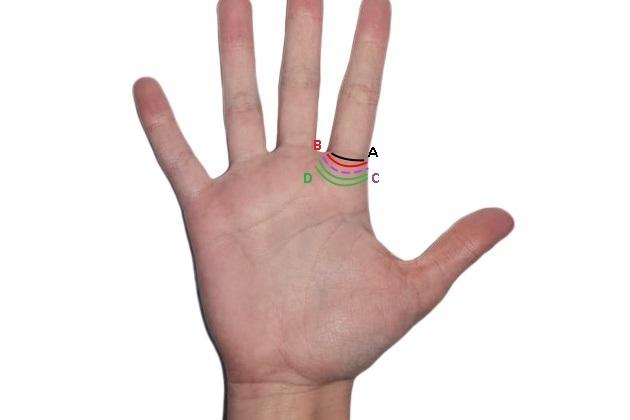 Ai unul dintre aceste semne în palmă? Sunt „inele” ce spun totul despre tine! Mihai Voropchievici: „Sunt calități cu care te naști”