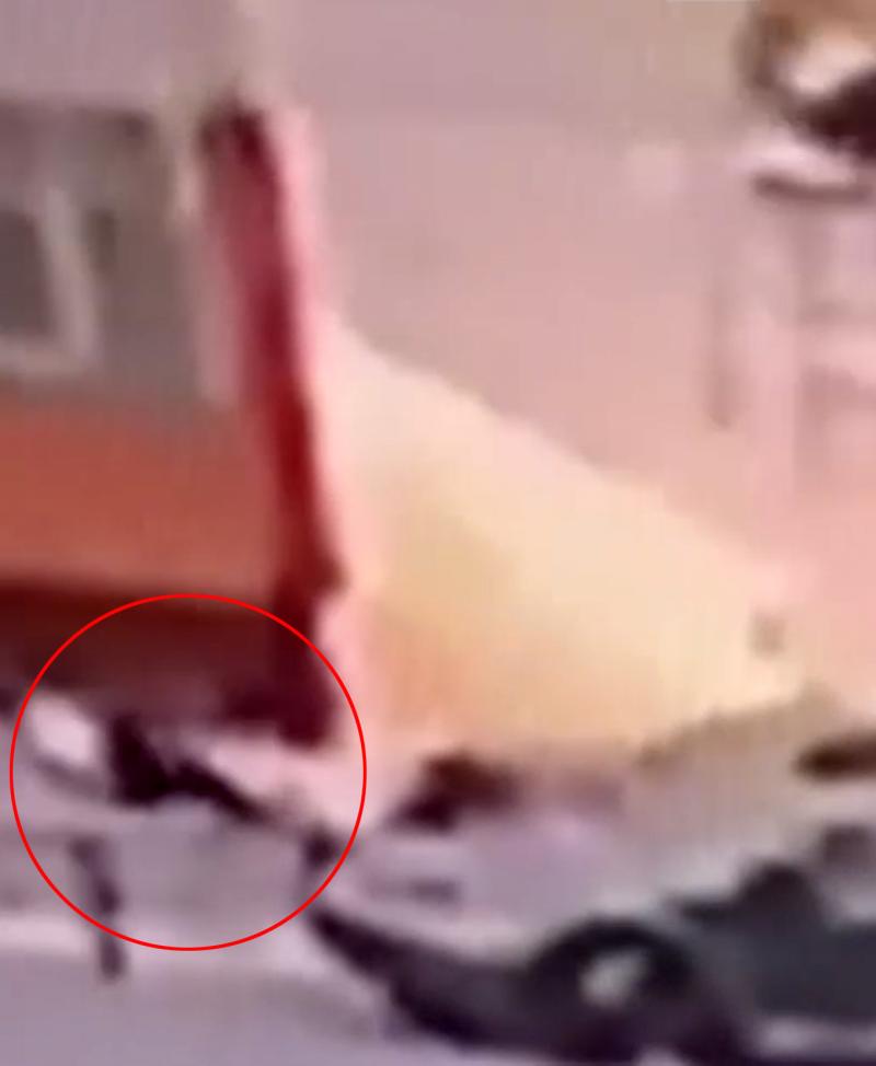 S-a aruncat de la etajul nouă. După câteva minute, s-a ridicat ÎN PICIOARE și și-a văzut liniștită de drum. Scenele șocante au fost filmate