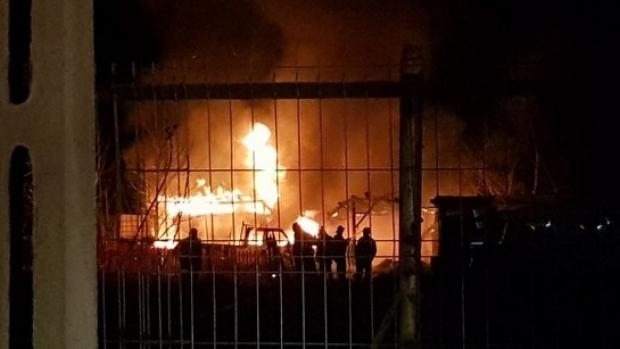 Imagini terifiante! Sute de animale dintr-un adăpost au murit într-un incendiu, în Buzău | FOTO
