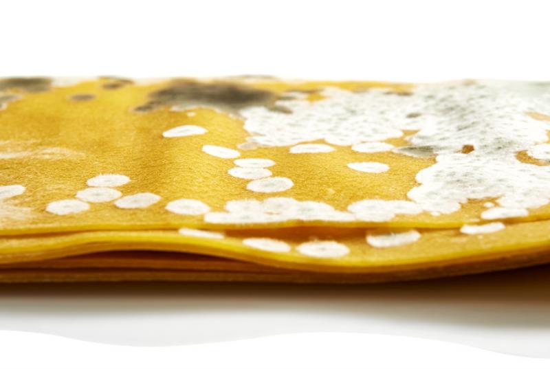 material galben mucegait