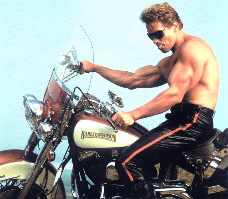 Arnold Schwarzenegger în ''Terminator 2''