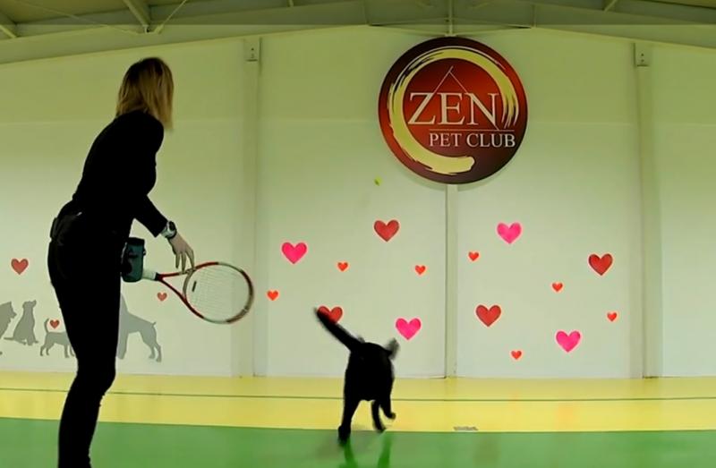 Campioana Ana Maria Brânză, scene emoționante alături de "copilașul" ei, cățelul Duras. O zi din viața sportivei este un carusel