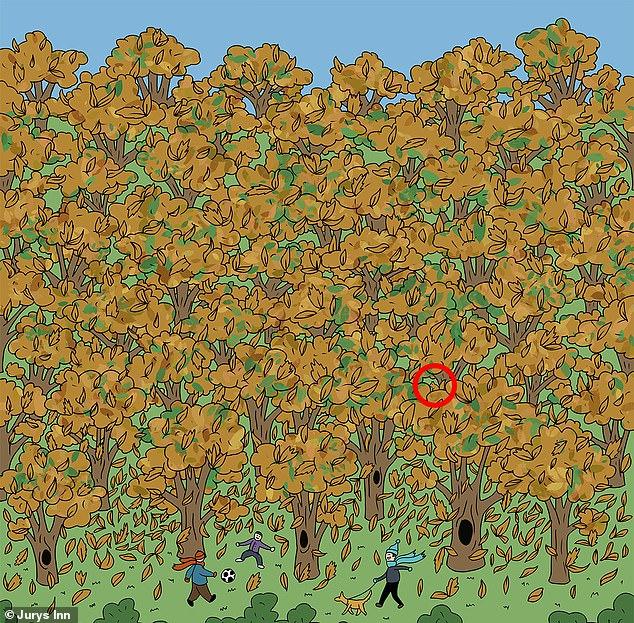 Provocarea care le dă mari bătăi de cap internauților