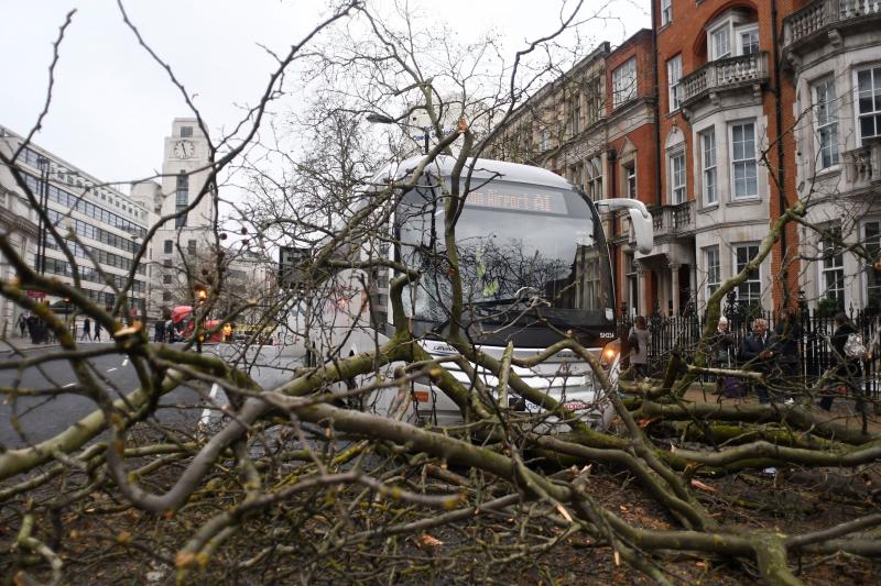 Imagini cu dezastrul lăsat de furtuna din Europa în urma căruia șapte oameni și-au pierdut viața. "Ciara" a distrus zeci de case și a avariat sute de mașini