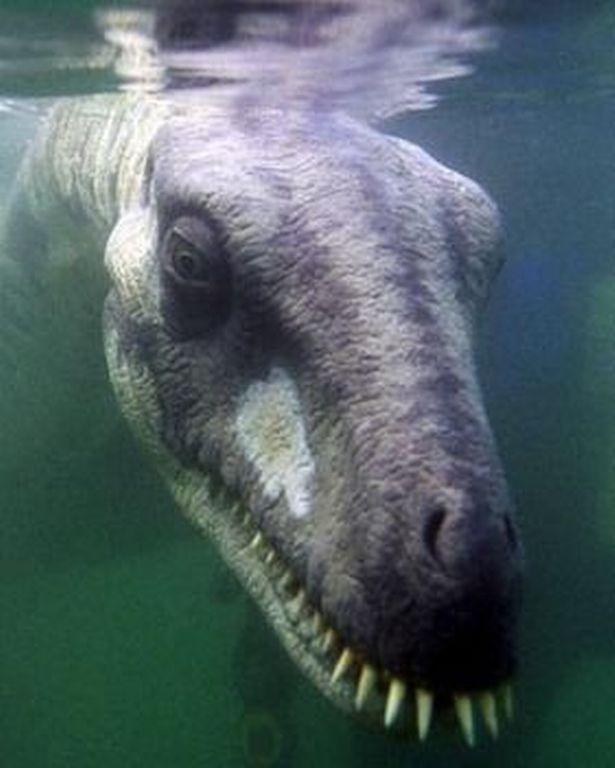 Scheletul unei CREATURI surprins pe o plajă din Scoția! "Este monstrul Loch Ness"