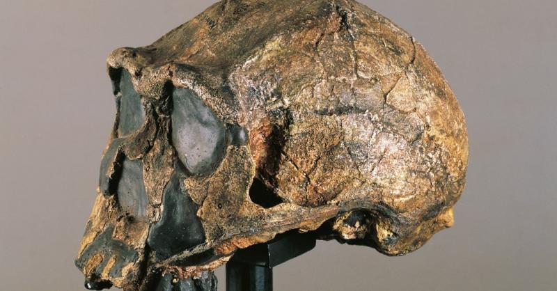 Specie umană misterioasă, descoperită de oamenii de știință! Ce este „populația fantomă”