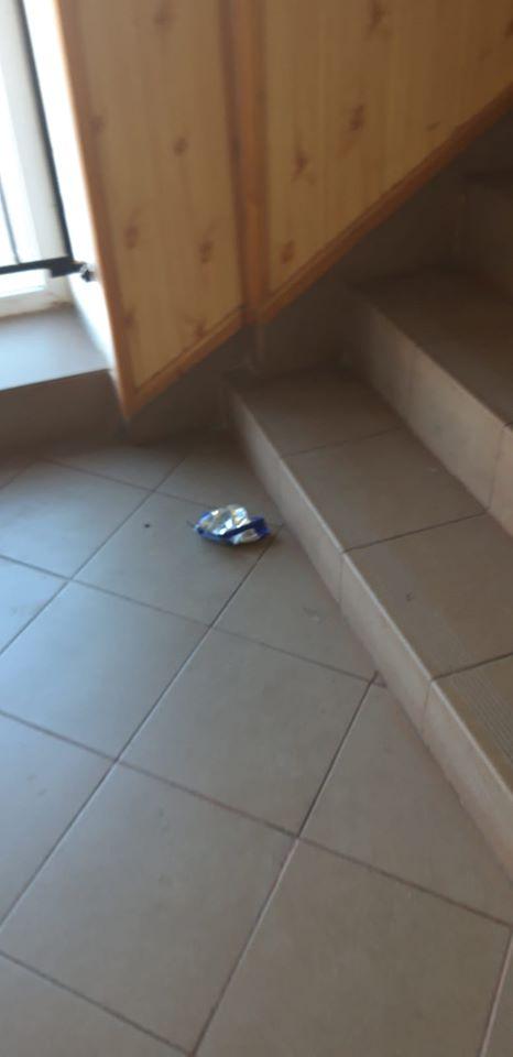 Directoarea unei școli din Brăila cheamă părinții să măture și să spele WC-urile. Explicația ei: ”Copiii sunt cum sunt”