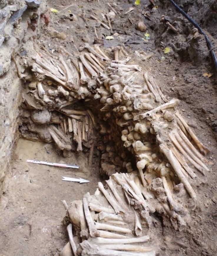Ziduri din oase umane și cranii, găsite de muncitori sub o biserică! Ce secret negru a ieșit la iveală