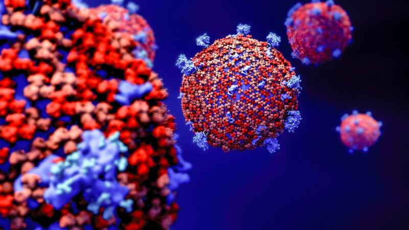 Cum arată coronavirusul la microscop. Imagini terifiante! „Prezintă o asemănare cu HIV-ul” – Foto