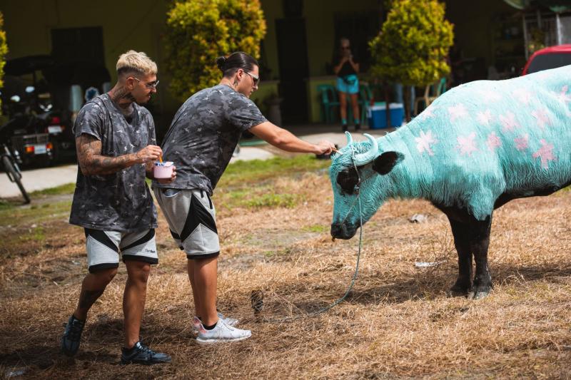 Tocuri, minijup și probe tot mai grele! Duminică, de la 20:00, vedetele Asia Express se întrec într-un concurs de miss