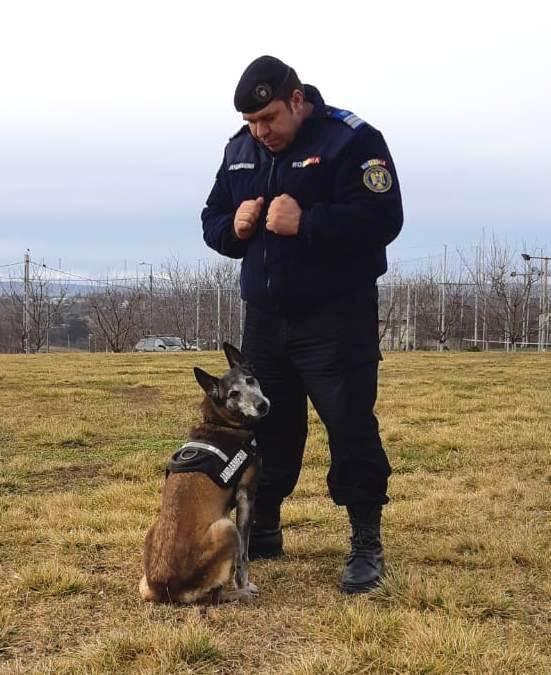 Un jandarm a adoptat câinele cu care a lucrat, după ce patrupedul "a iesit la pensie"