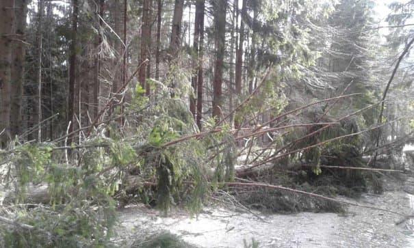Stațiunea Vârful lui Roman din județul Vâlcea este izolată din cauza viscolului. Zeci de oameni blocați în nămeți