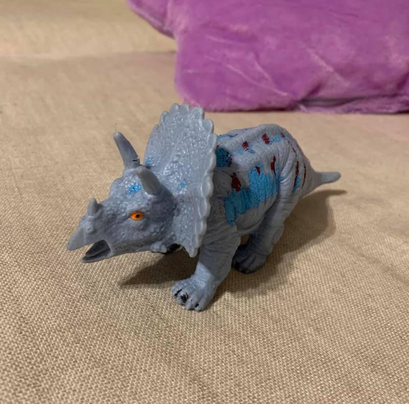 Gest extrem de frumos din partea Simonei Gherghe! Ce a făcut frumoasa prezentatoare te va impresiona