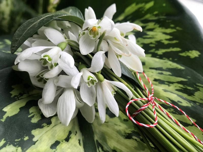 Cum porți mărțișorul, ca să nu ai ghinion tot anul! Tradiții care aduc mult bine