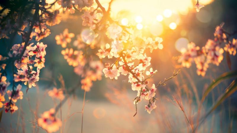 Ce se întâmplă cu vremea în luna martie! Prognoza meteo, plină de surprize