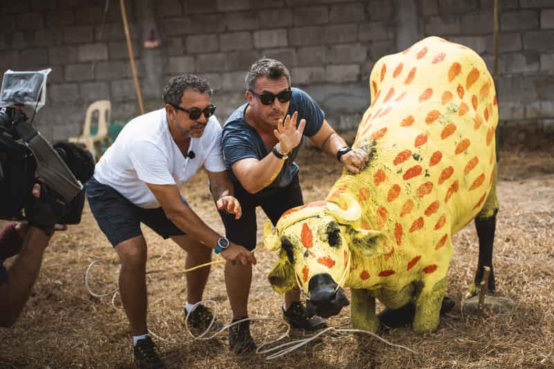 Râzi cu lacrimi! Vedetele de la Asia Express s-au apucat de colorat bivolii! „Mai avea un pic să ne pună să-l vopsim și pe...bile”