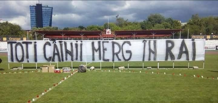 Antonio Melinte, fost jucător de rugby la Dinamo, a murit, la vârsta de 22 de ani! „Toți câinii merg în rai”