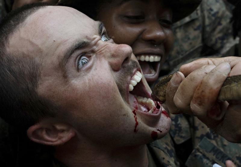 În plină epidemie de coronavirus, trupele americane și thailandeze rup capetele șerpilor și le beau sângele într-un ritual dezgustător