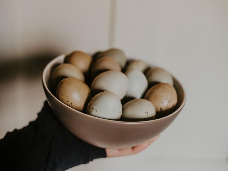 Atenție la ouăle pe care le cumperi de Paște! Știai că fiecare ou poartă informații ștanțate despre cum au fost crescute găinile