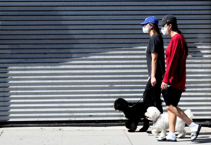 O informație esențială despre coronavirus a fost contrazisă! „Ne-am păcălit! Pangolinul n-are nicio vină! Unul dintre animalele pe care le iubim cel mai mult ne-a transmis COVID-19!”