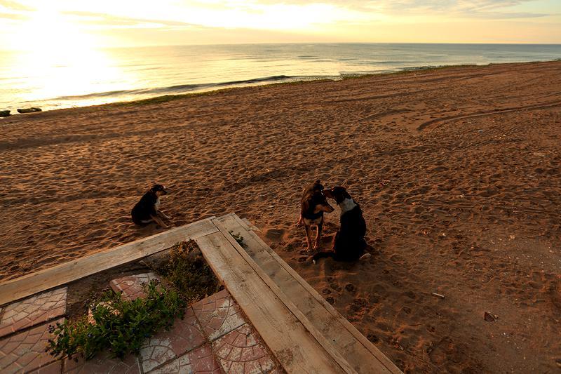 Cum aratau plajele anul trecut de 1 Mai și cum cum sunt acum |Foto