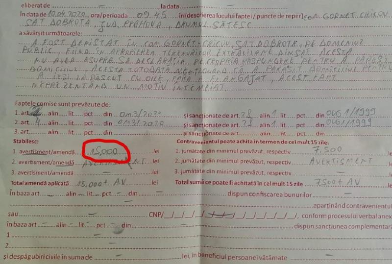 Ca la noi, la nimeni! Amendă de 15.000 de lei pentru un bătrân care a ieșit să își adune oile. ”Nu avea declarația pe propria răspundere, nereprezentând un motiv întemeiat”