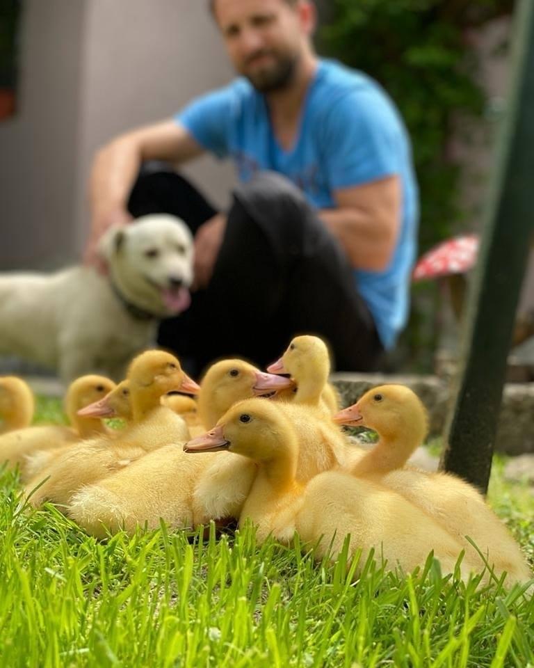 Noua pasiune a lui Dani Oțil! Cum își umple vedeta timpul liber. Imagini care te vor sensibiliza! |FOTO