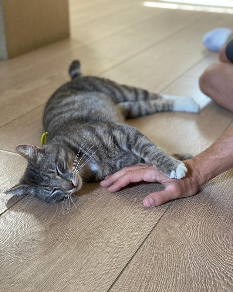 Noua pasiune a lui Dani Oțil! Cum își umple vedeta timpul liber. Imagini care te vor sensibiliza! |FOTO