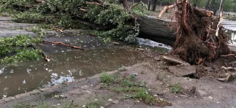 Vijelii şi grindină de cod roşu au devastat zeci de localităţi. Imagini apocaliptice în toată țara: La Galati, copacii au fost smulși din rădăcini