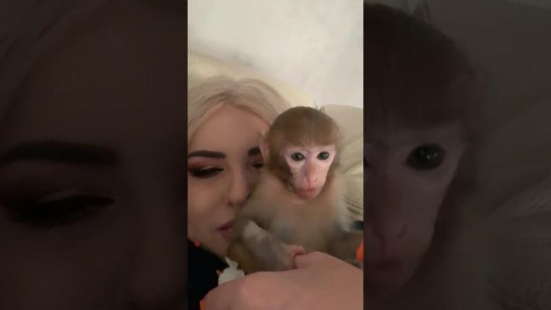 Fostul iubit al Oanei Zăvoranu, lovitură pentru Clejani. Margherita nu mai are scăpare!  Imaginile au fost făcute publice