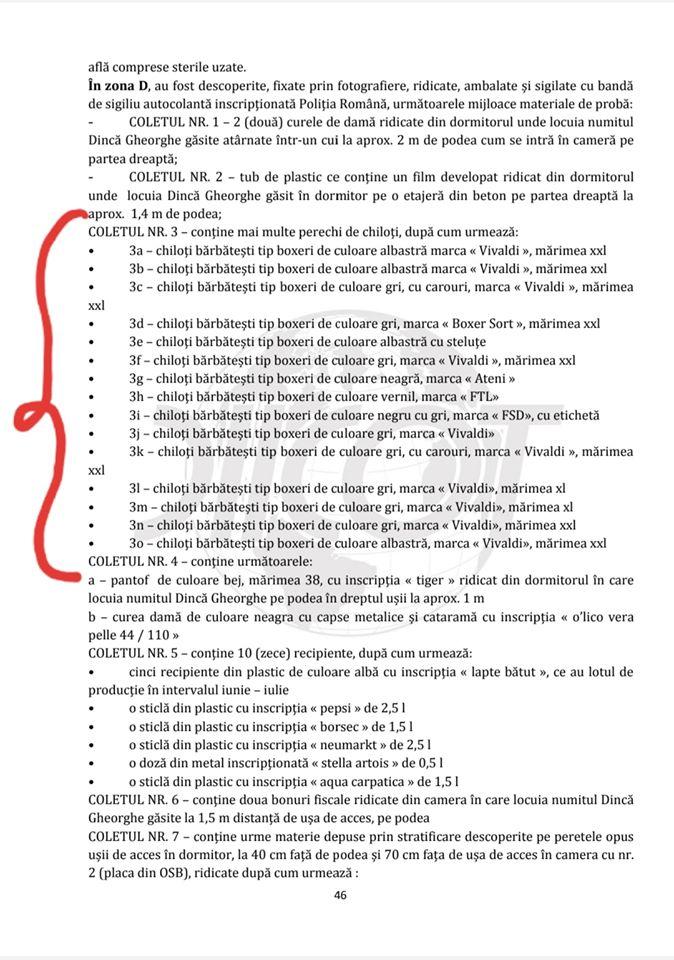 Detalii scandaloase din dosarul Caracal, publicate de familia Alexandrei Măceșanu: „O mascaradă fără limite! Priviți aici, informații 'relevante'”