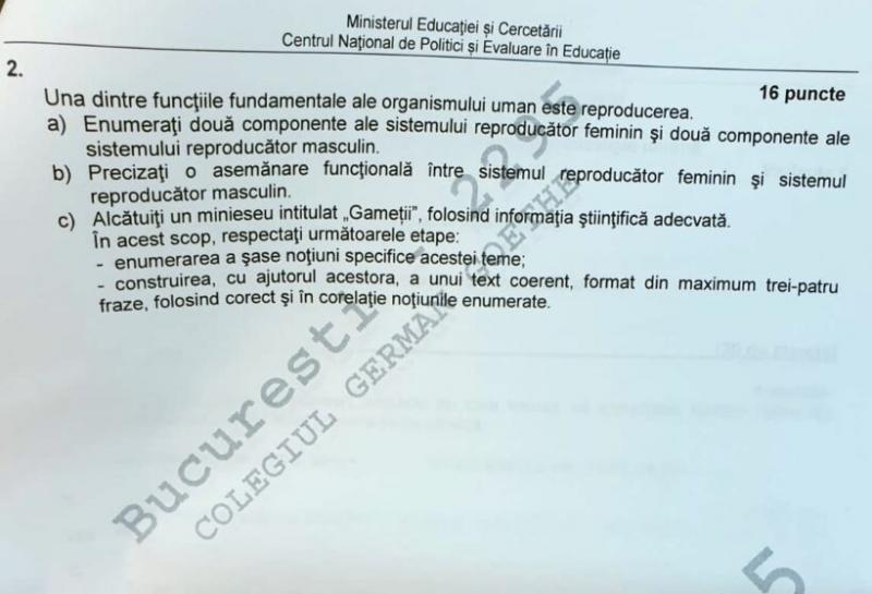 Subiecte Bacalaureat 2020. Proba la alegere. Ce le-a picat elevilor la Biologie și Fizică