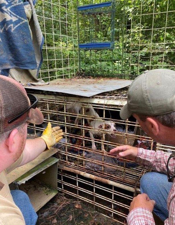 Un copil de aproape doi ani, ținut într-un coteț! Polițiștii au suferit un șoc! „Nu am mai văzut așa ceva”! Atenție, imagini greu de privit! FOTO