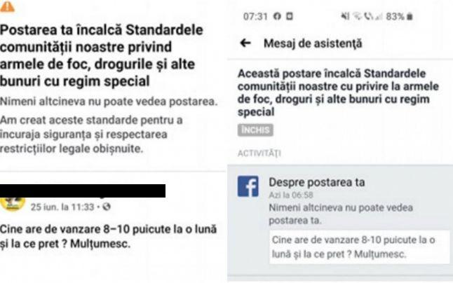 Un primar din Alba a fost prins căutând „puicuțe” pe Facebook! Edilul a reacționat imediat: „N-o să mai cumpăr în viața mea!”