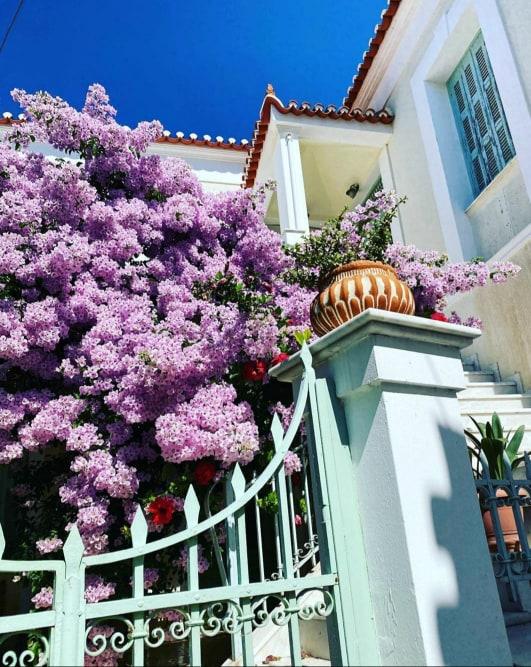 Imagini din vacanța Deliei! Cum arată paradisul unde se răsfață frumoasa artistă! | Galerie Foto